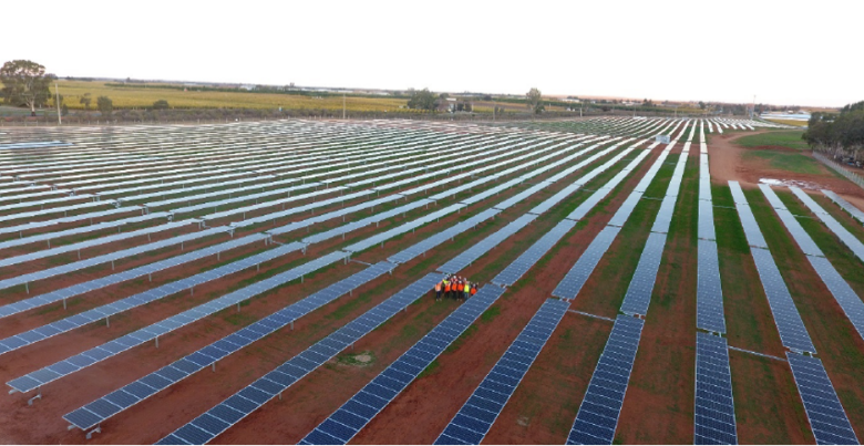 Robinsvale solar farm4@2x